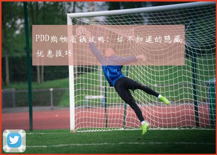 PDD购物省钱攻略：你不知道的隐藏优惠技巧